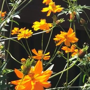 Meet your Posher, Judith